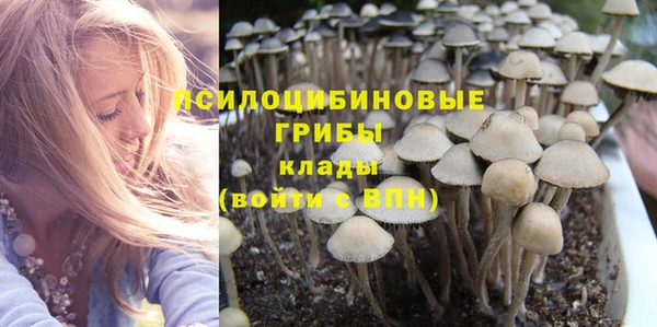 бошки Вязьма
