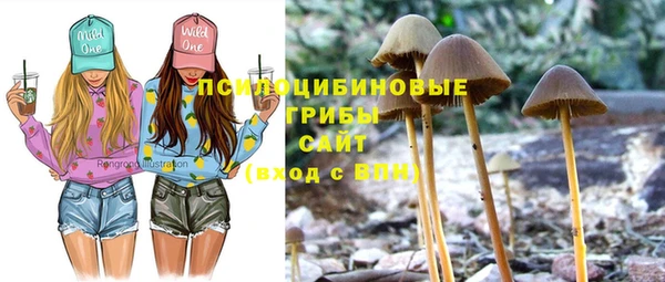 бошки Вязьма