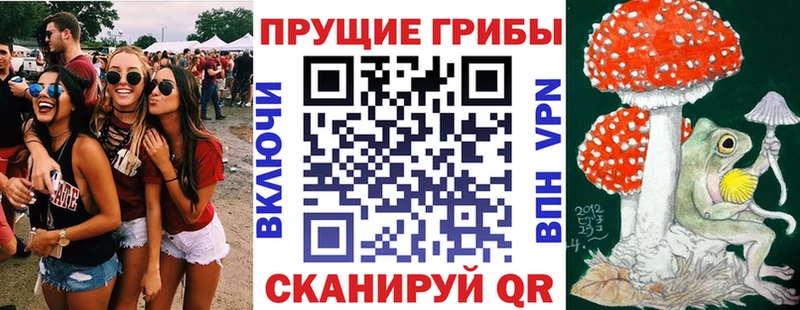 Псилоцибиновые грибы мухоморы  Далматово 